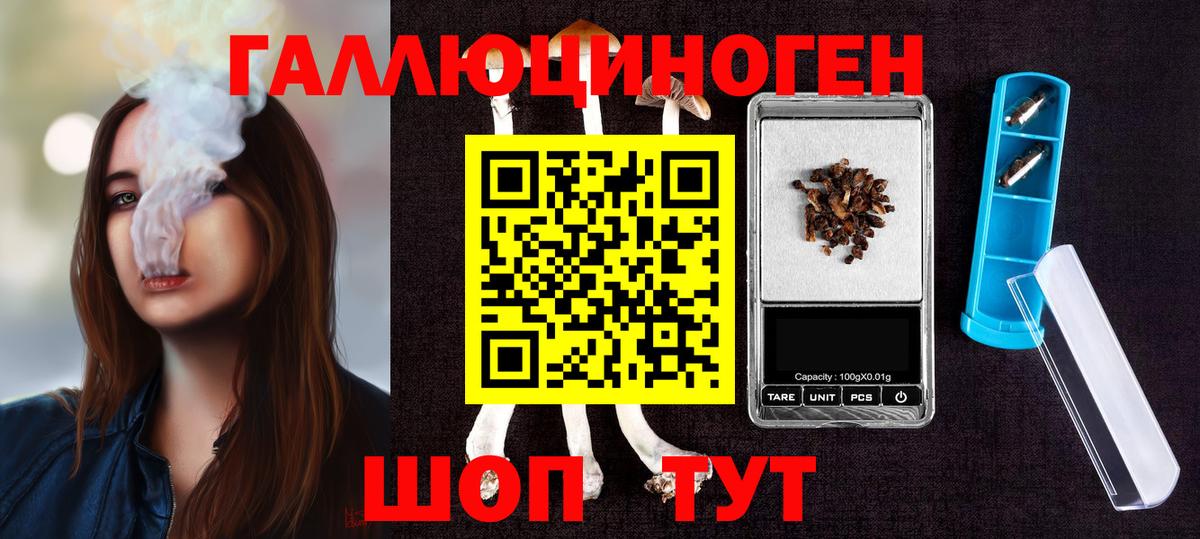 Черкесск  Псилоцибиновые грибы Magic Shrooms  Вход с VPN 